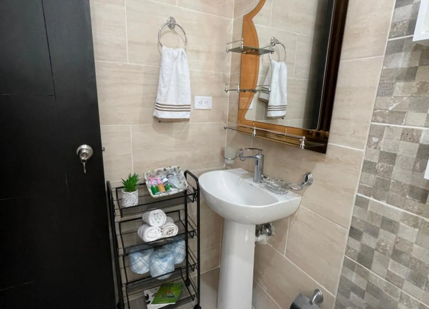 Apartamento Con Terraza Y Jacuzzi Privado Санто-Доминго